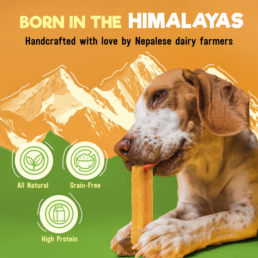 Wilder Tails yak chews 68g protein supports active dogs during play.