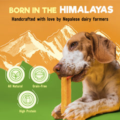 Wilder Tails yak chews 68g protein supports active dogs during play.