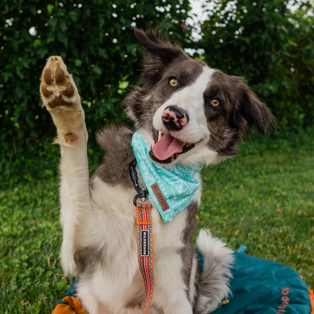 Wilderdog bandana breathable mesh texture promotes cooling in warm weather.