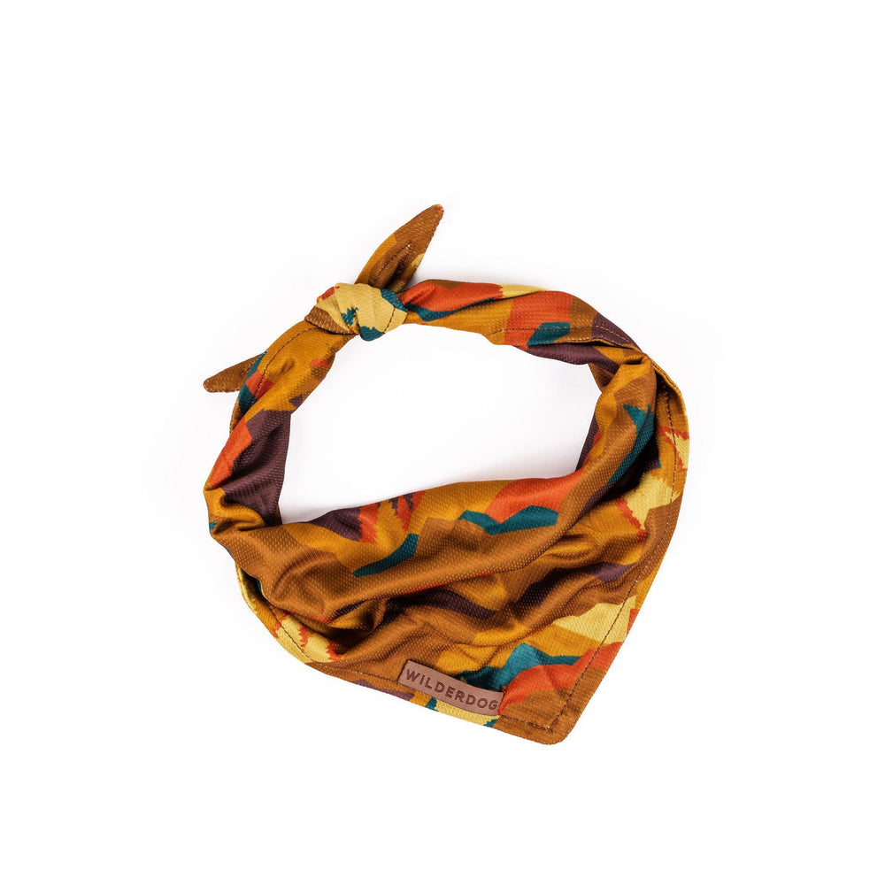 Wilderdog bandana on a dog wearing autumn air mesh for quick dry comfort
