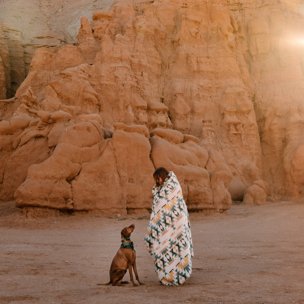 Wilderdog blanket in a van for road trips.