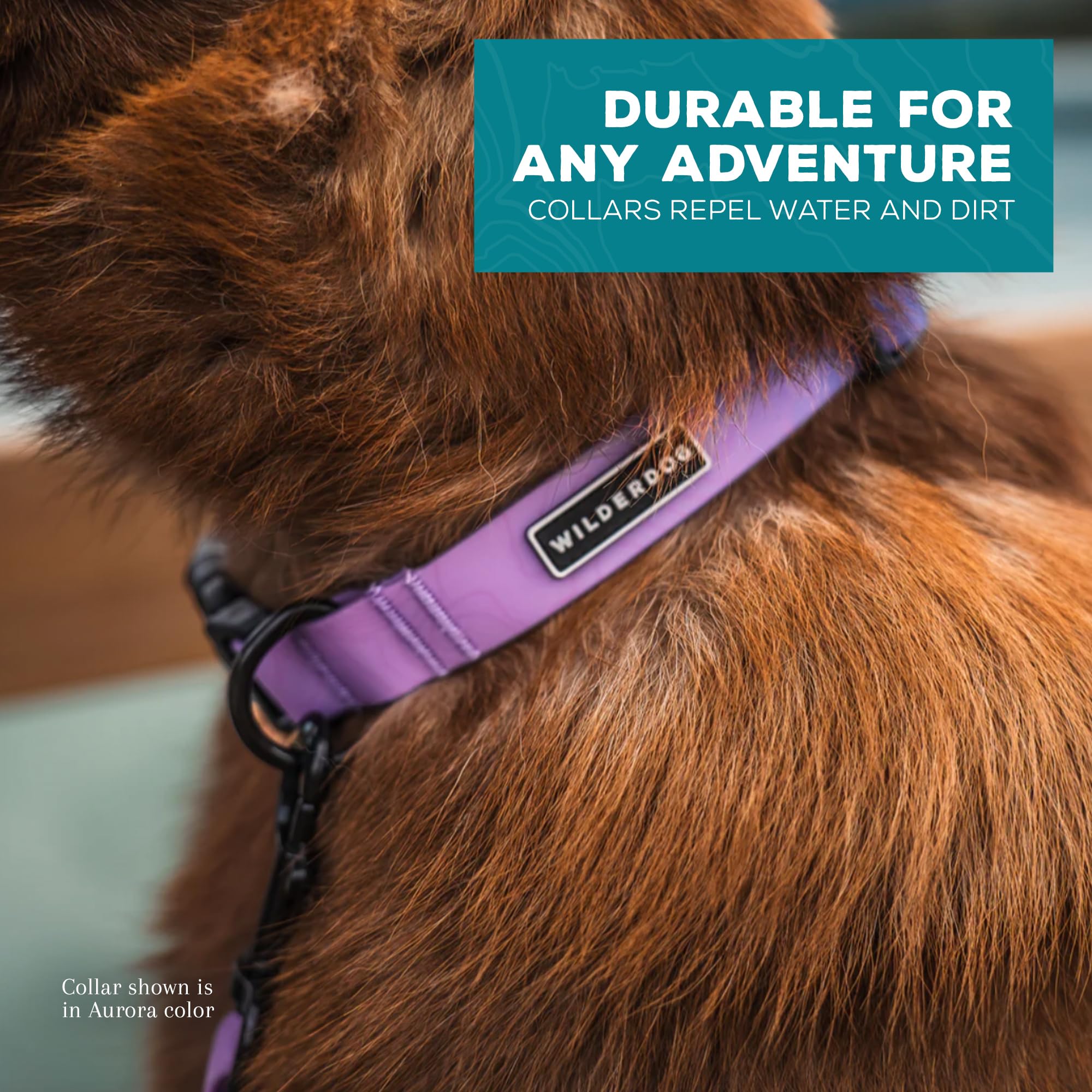 Wilderdog dirt-repellent collar after trail walk stays clean
