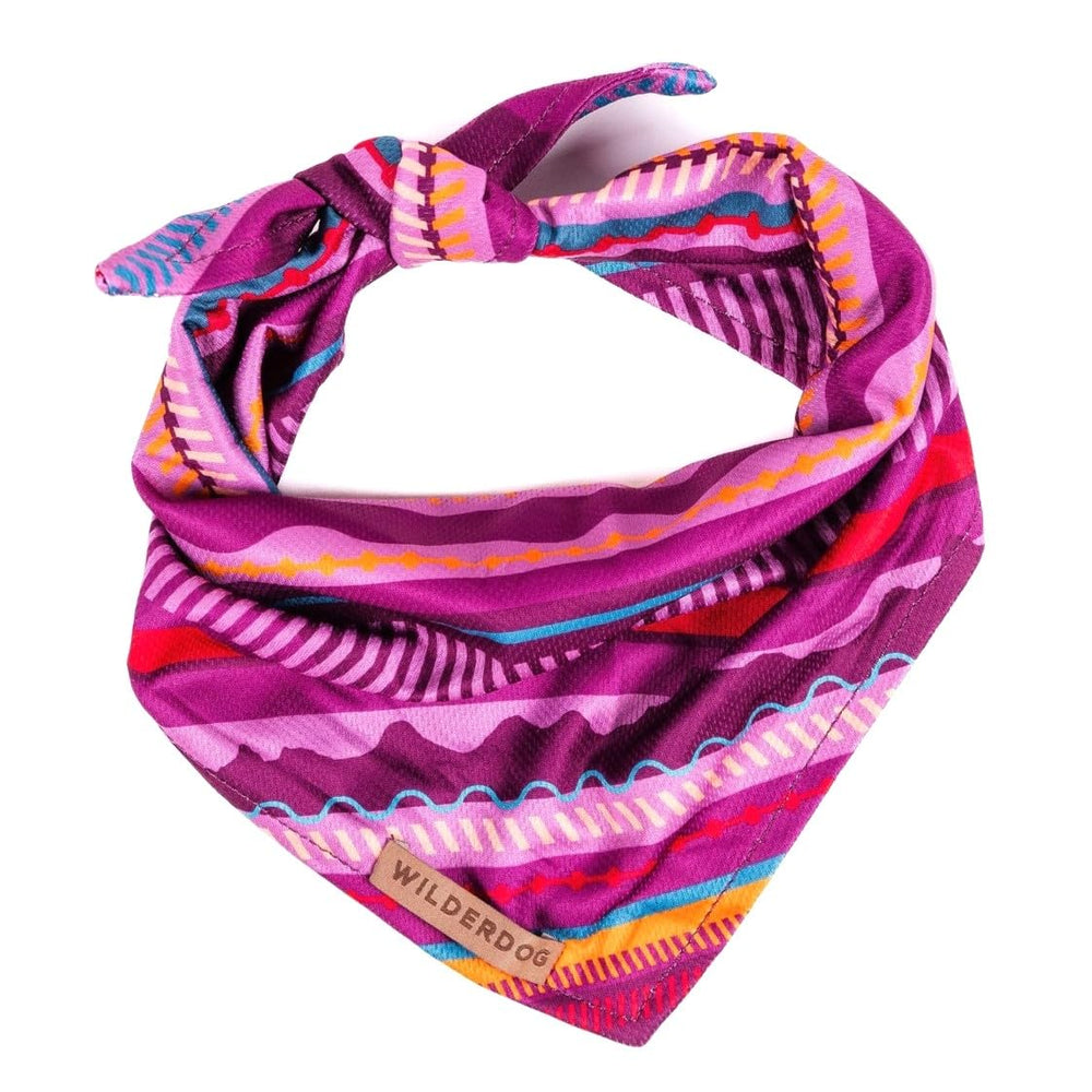 Wilderdog dog bandana dawn front view showing quick-dry fabric for active dogs.