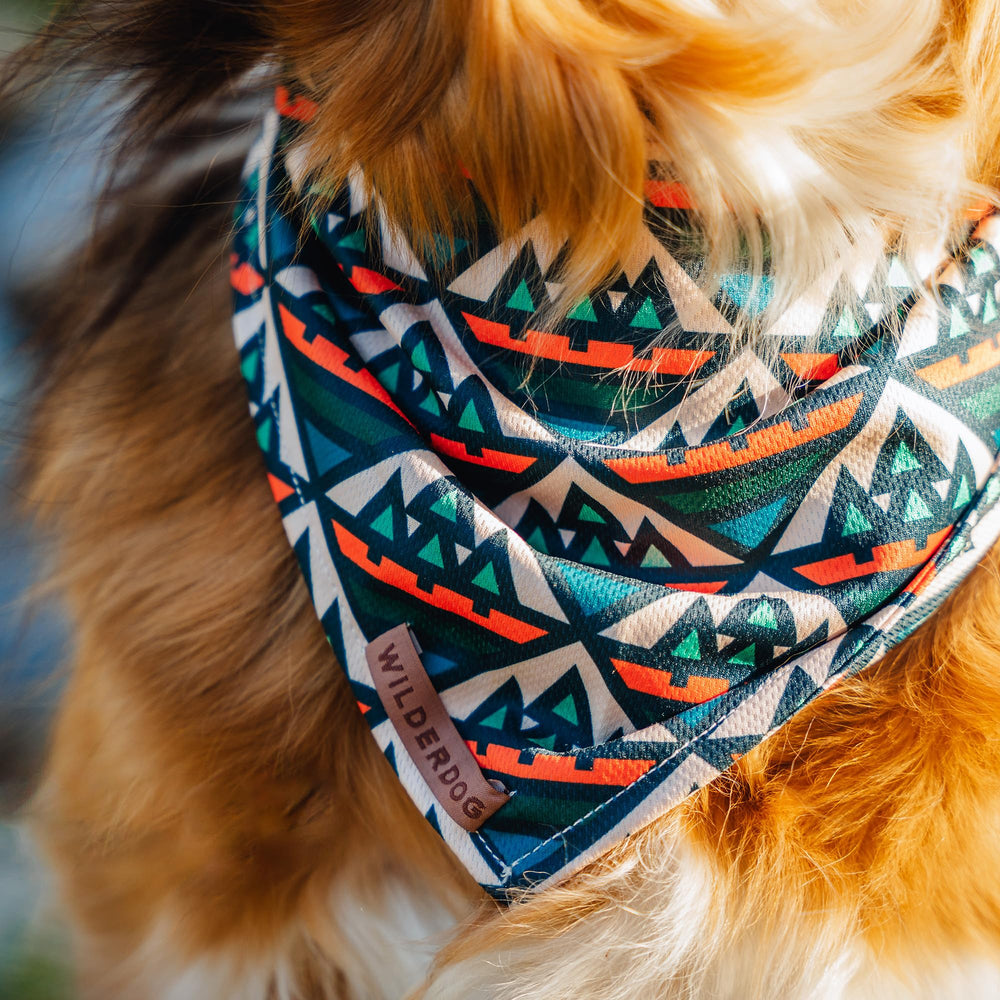 Wilderdog Dog Bandana backed by lifetime warranty.