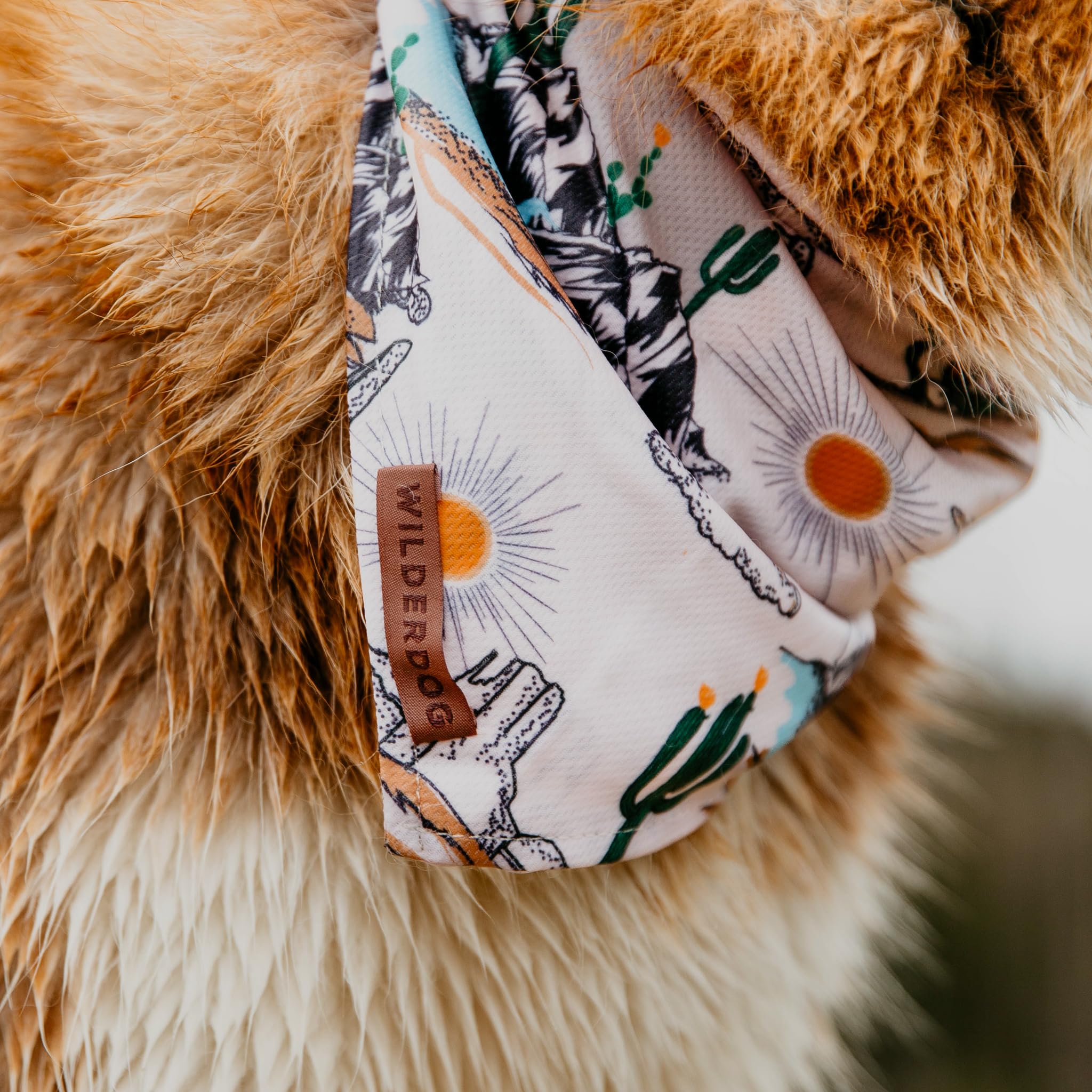 Wilderdog dog bandana with lifetime warranty for long-term support.
