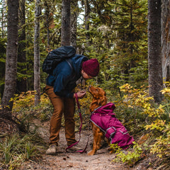 Wilderdog dog jacket breathable interior enhances comfort outdoors.