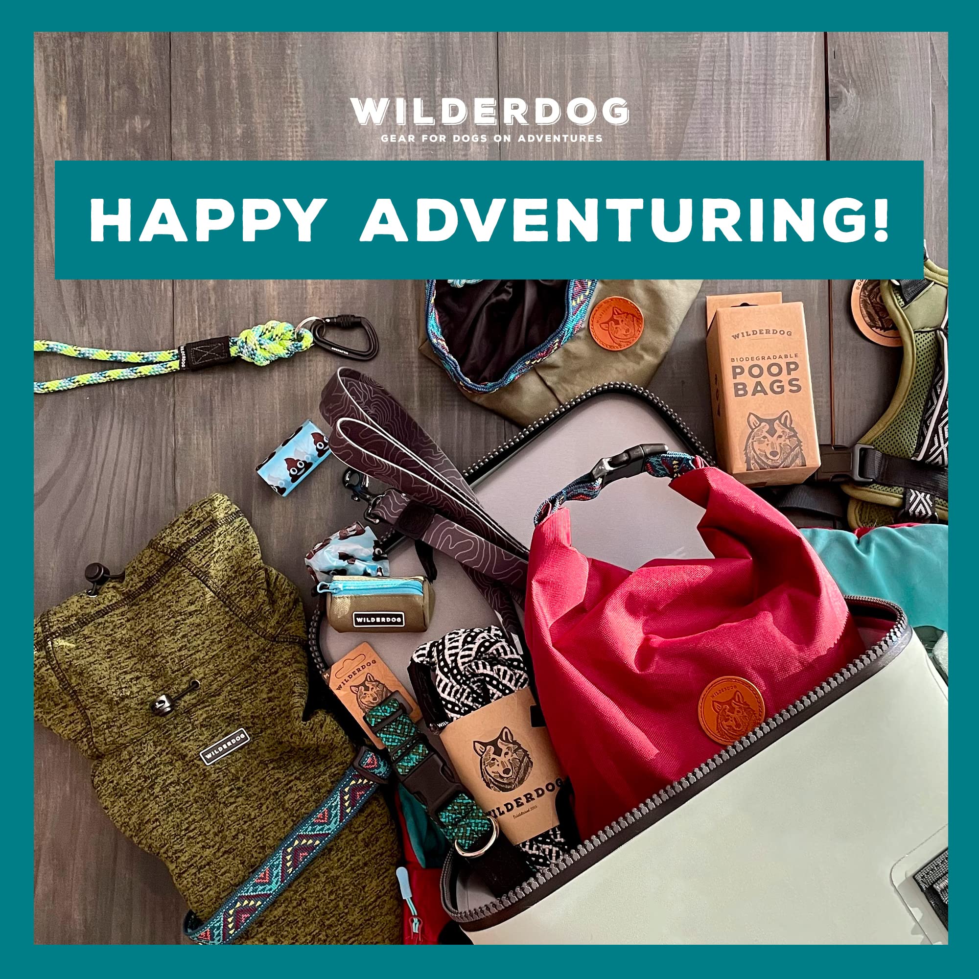 Wilderdog leash-clip-in-use shows secure attachment during strolls.