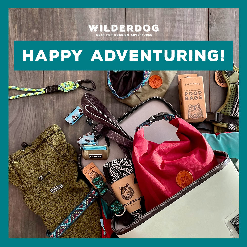 Wilderdog leash-clip-in-use shows secure attachment during strolls.