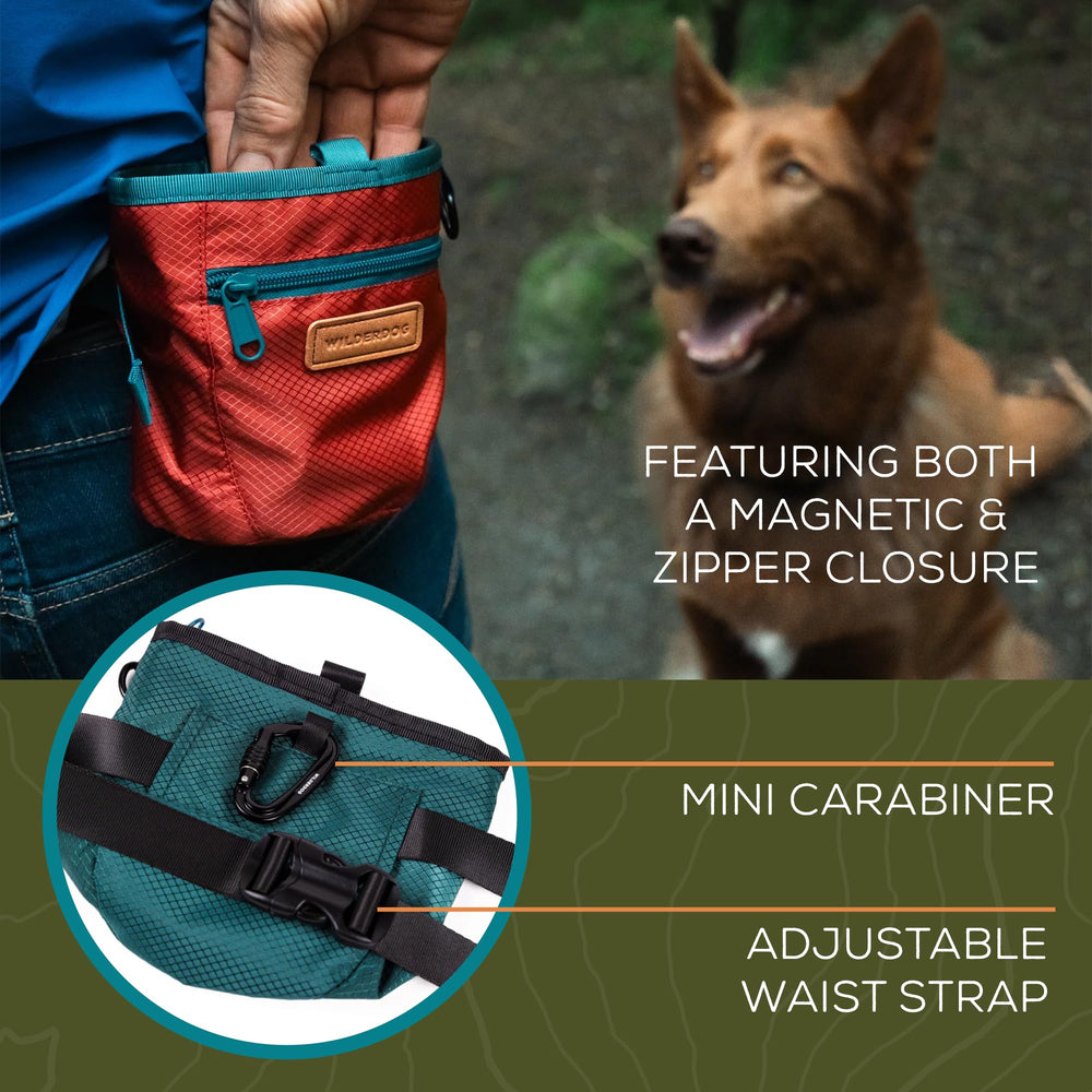 Wilderdog pouch shows carabiner attached for easy access during outings.