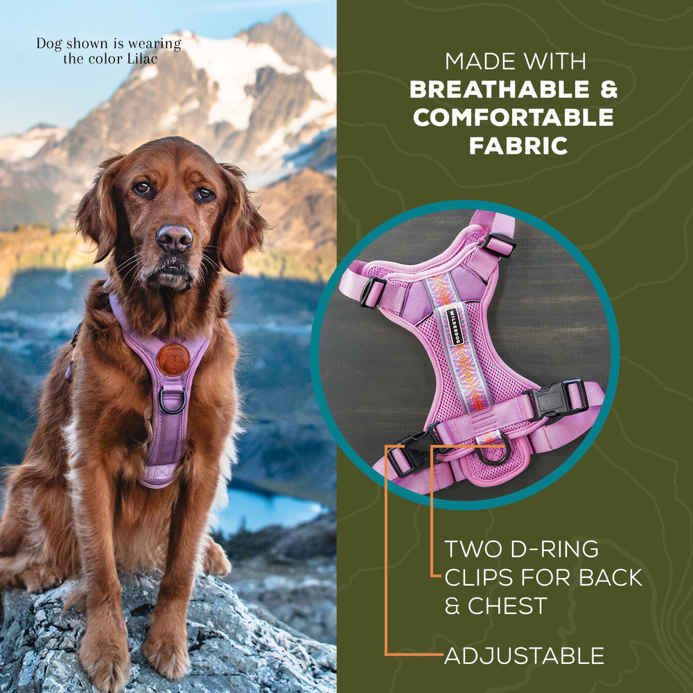 Wilderdog lightweight dog harness lilac back D-ring for secure leash attachment