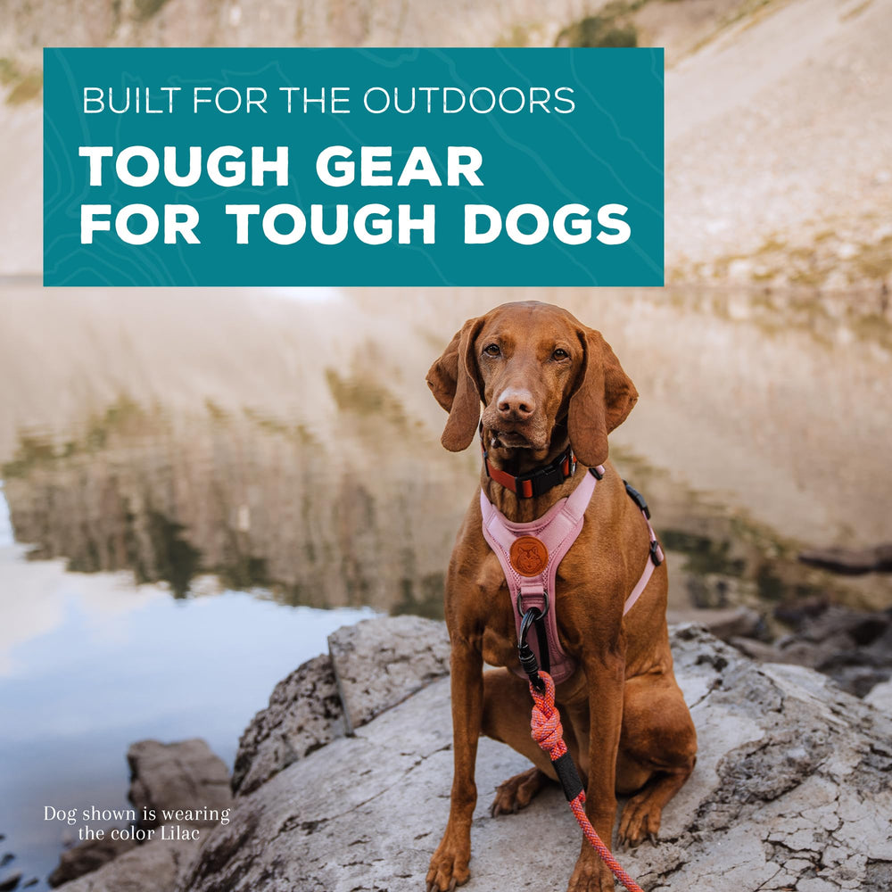 Wilderdog lightweight dog harness lilac top handle for boosting over obstacles