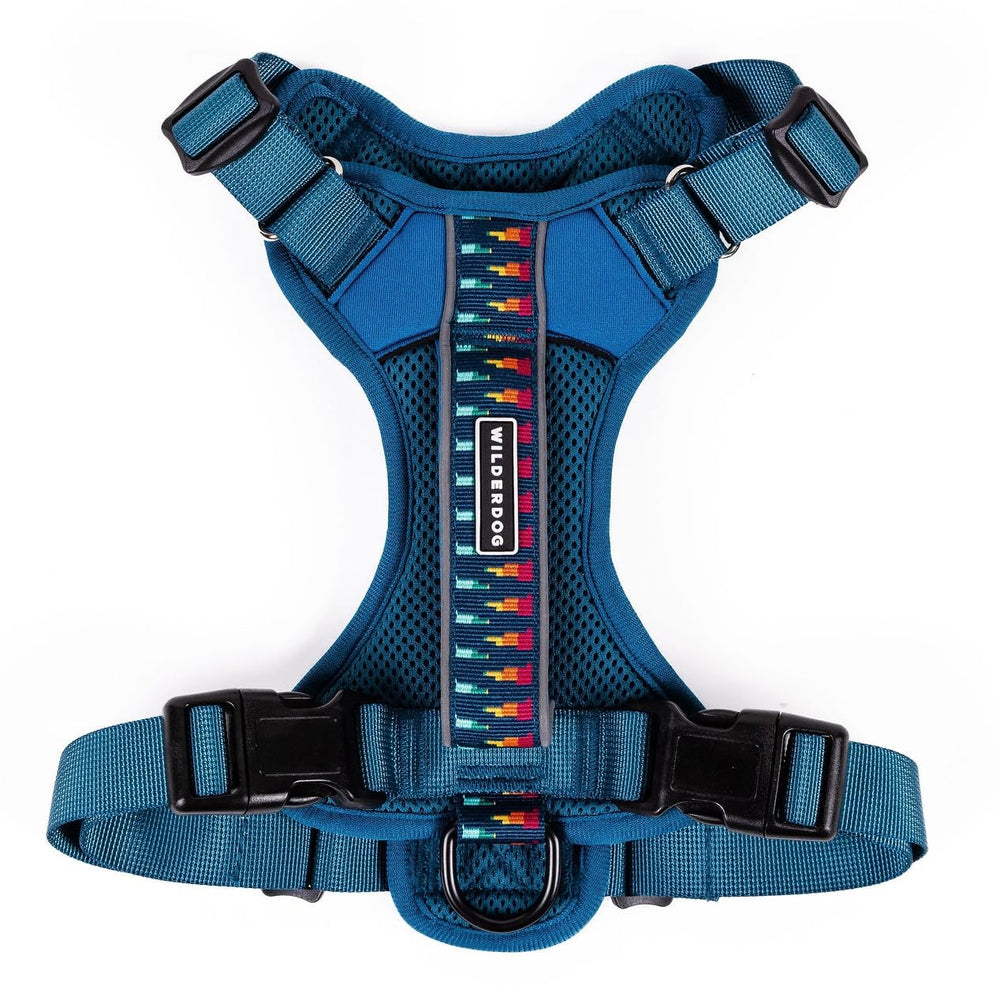 Wilderdog lightweight harness Pacific Blue over head for easy on-off