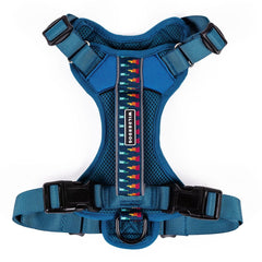 Wilderdog lightweight harness Pacific Blue over head for easy on-off