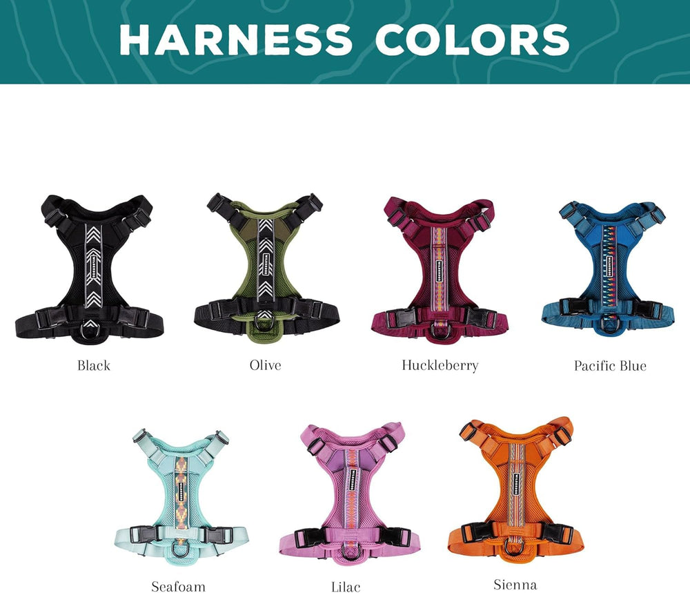 Wilderdog harness back D-ring attachment ideal for leash options on trails