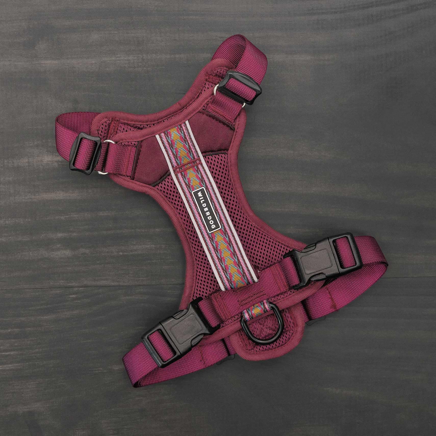 Wilderdog harness chest D-ring attachment for secure control on adventures