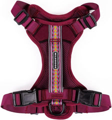 Wilderdog Huckleberry harness ready for quick on-off during daily walks