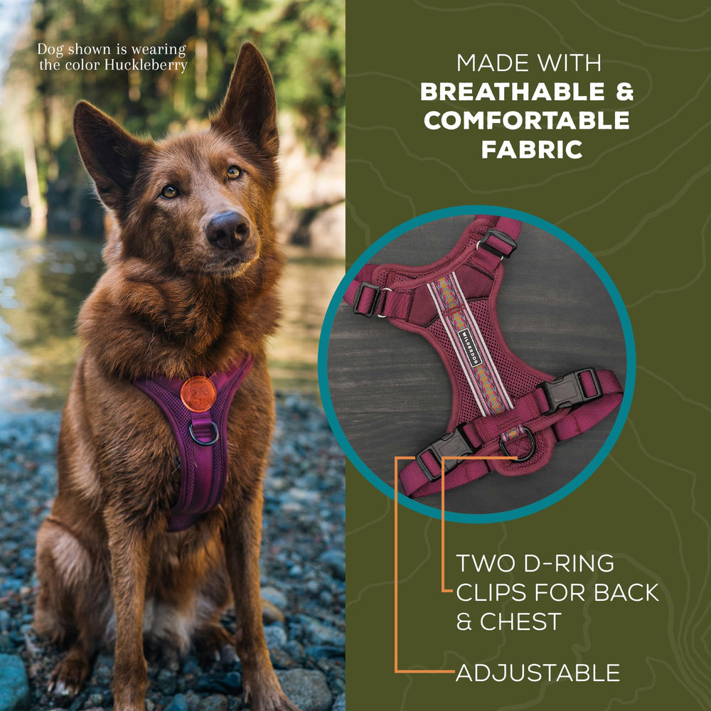 Wilderdog harness top handle aids lifting over obstacles on trails.