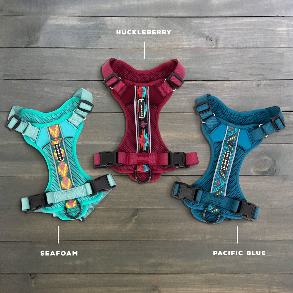 Wilderdog Pacific Blue back D-ring harness ideal for versatile leash options on trails.