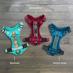 Wilderdog Pacific Blue back D-ring harness ideal for versatile leash options on trails.