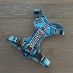 Wilderdog Pacific Blue harness with side-release chest buckles supports secure adjustable fit.