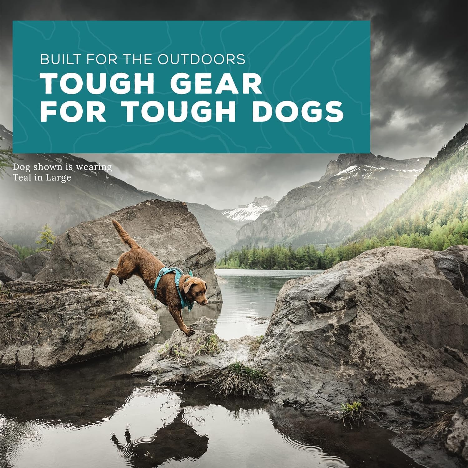 Wilderdog Pacific Blue top handle enables gentle lifts over obstacles on trails.