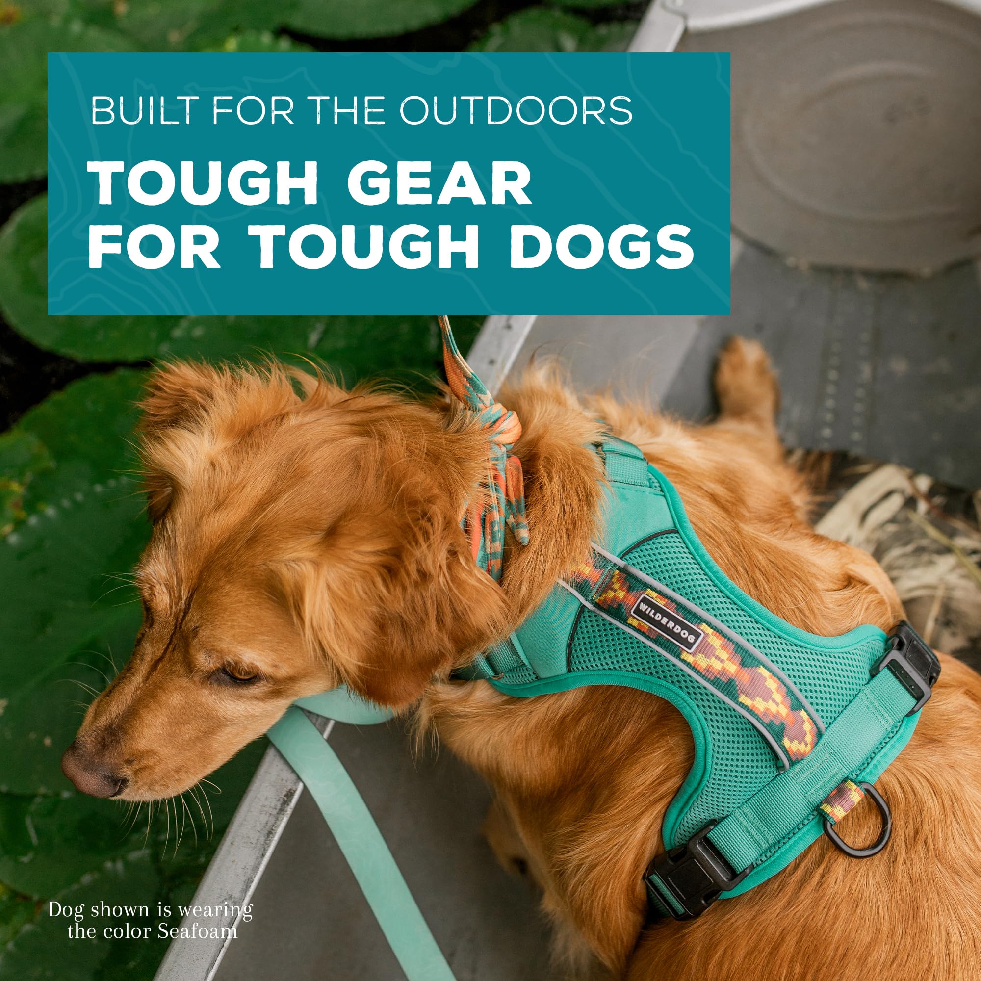 Wilderdog lightweight harness seafoam adjustable-neck-strap ensures snug, comfy fit.