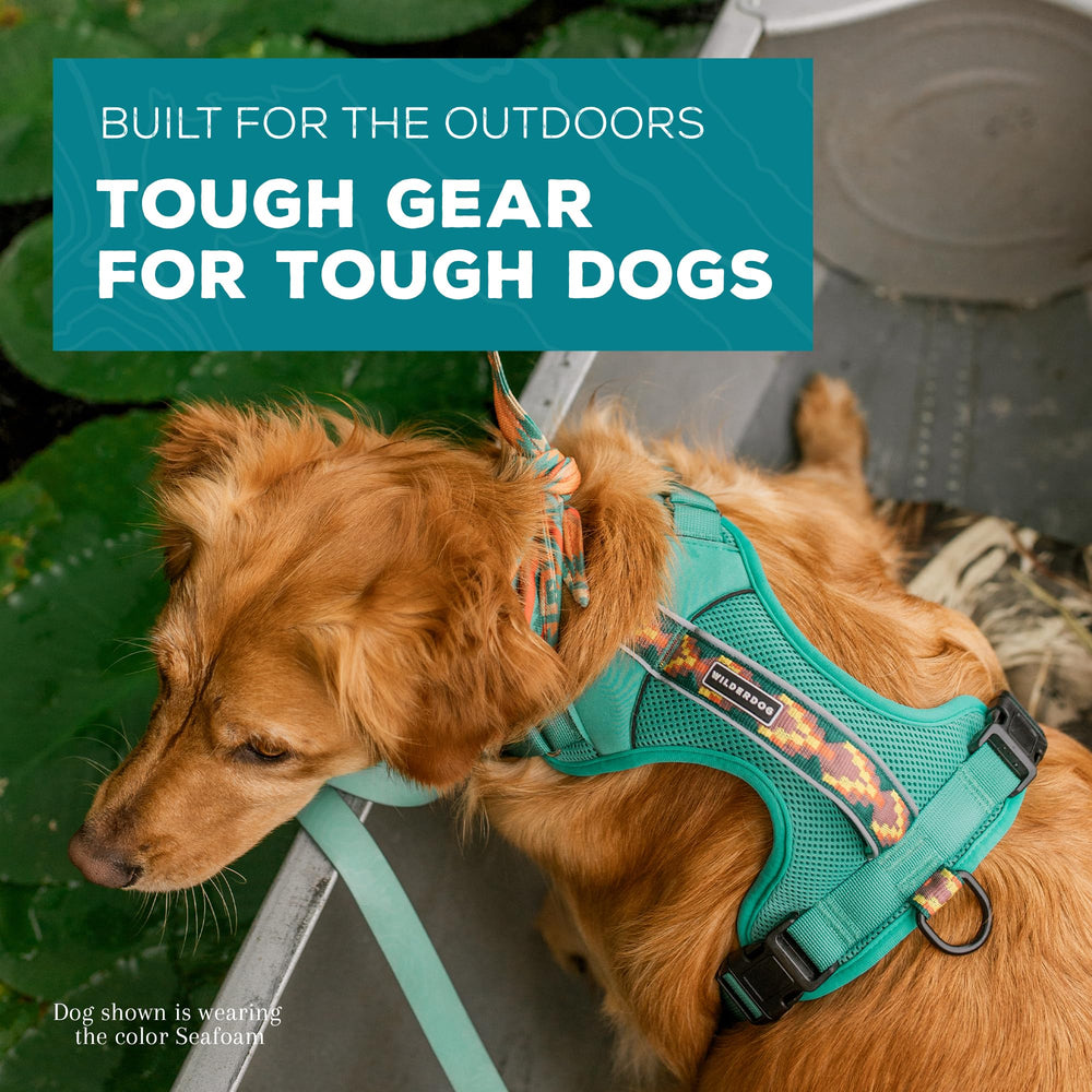 Wilderdog lightweight harness seafoam adjustable-neck-strap ensures snug, comfy fit.