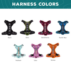 Wilderdog lightweight harness seafoam chest-attachment keeps control on hikes.