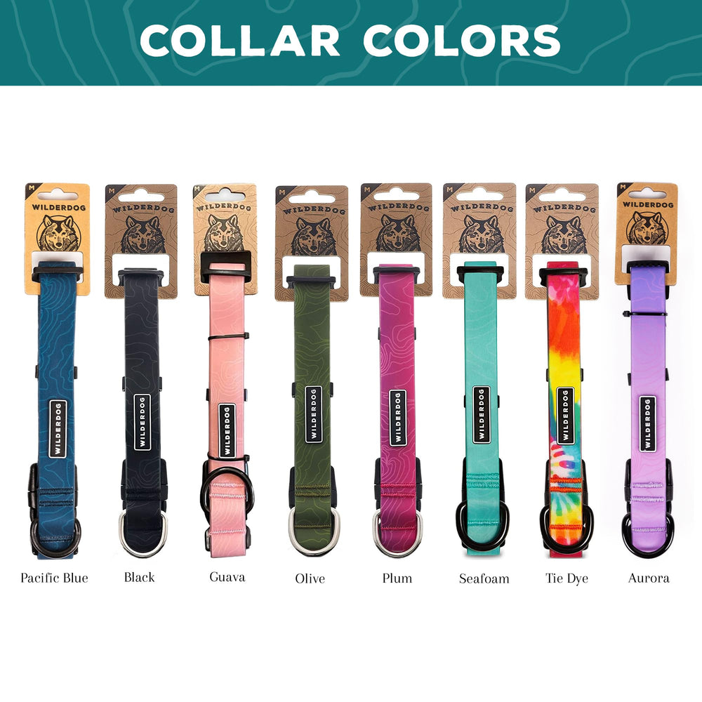 Wilderdog waterproof collar closeup shows rubber-coated webbing repelling water