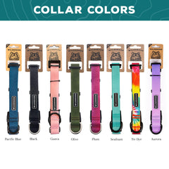 Wilderdog waterproof collar closeup shows rubber-coated webbing repelling water