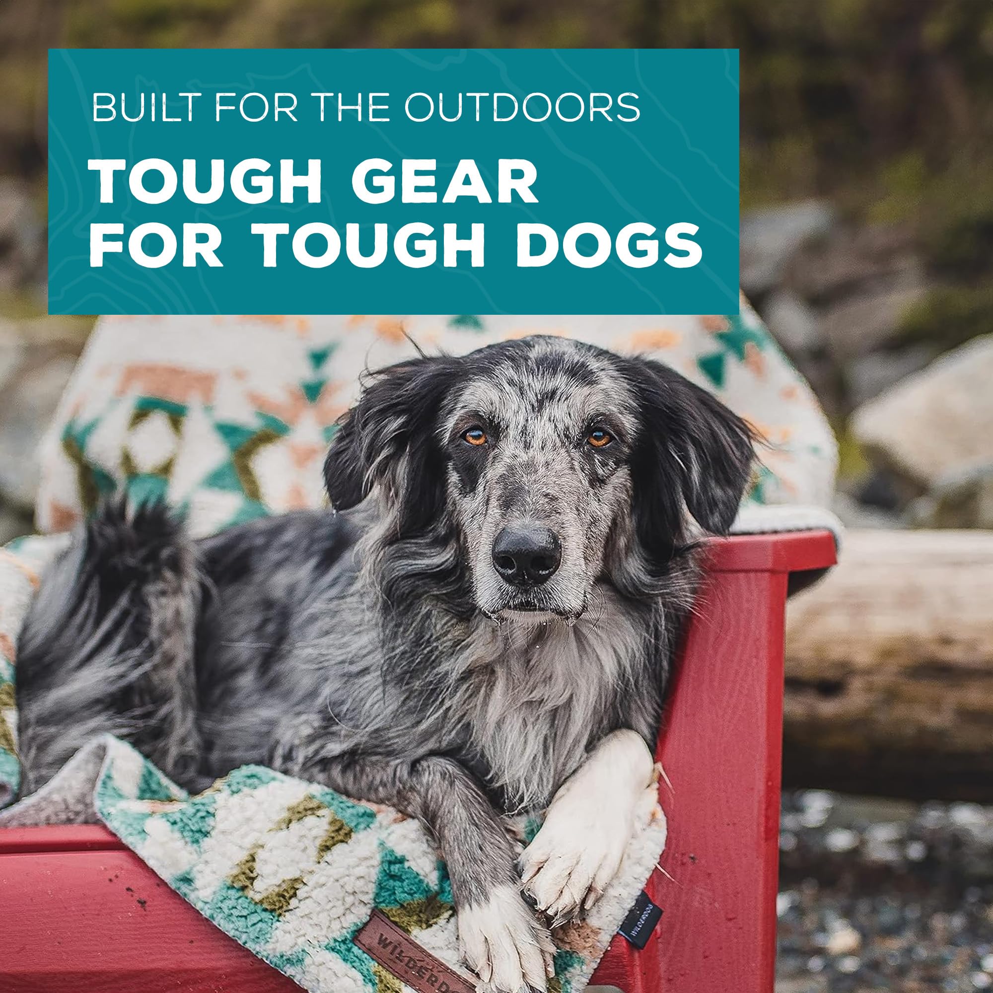 Wilderdog olive closeup shows plush fleece texture for snuggle warmth.