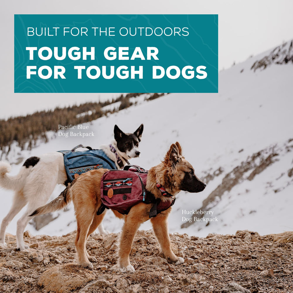 Wilderdog two saddlebags with four pockets organize essentials on walks.
