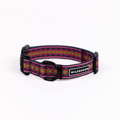 Wilderdog Ultralight Collar Daybreak close-up showcases featherweight nylon for comfortable wear.