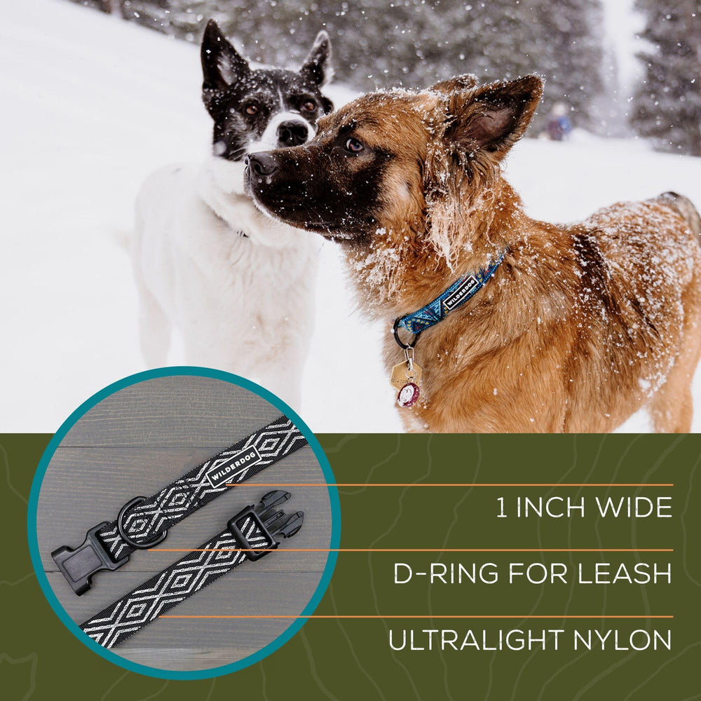 Wilderdog Ultralight Collar Daybreak measuring neck ensures accurate sizing and comfort.