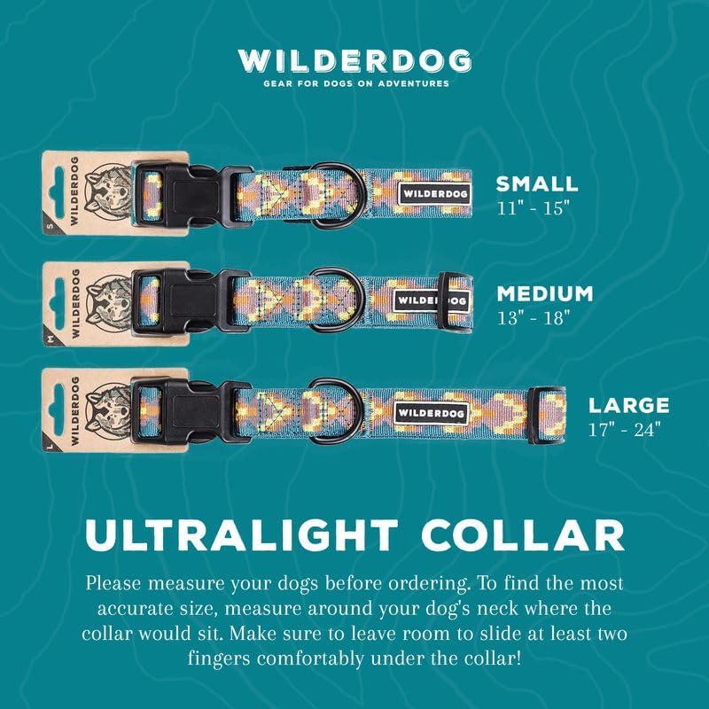 Wilderdog Ultralight Collar Daybreak worn during a walk for a light, secure fit.