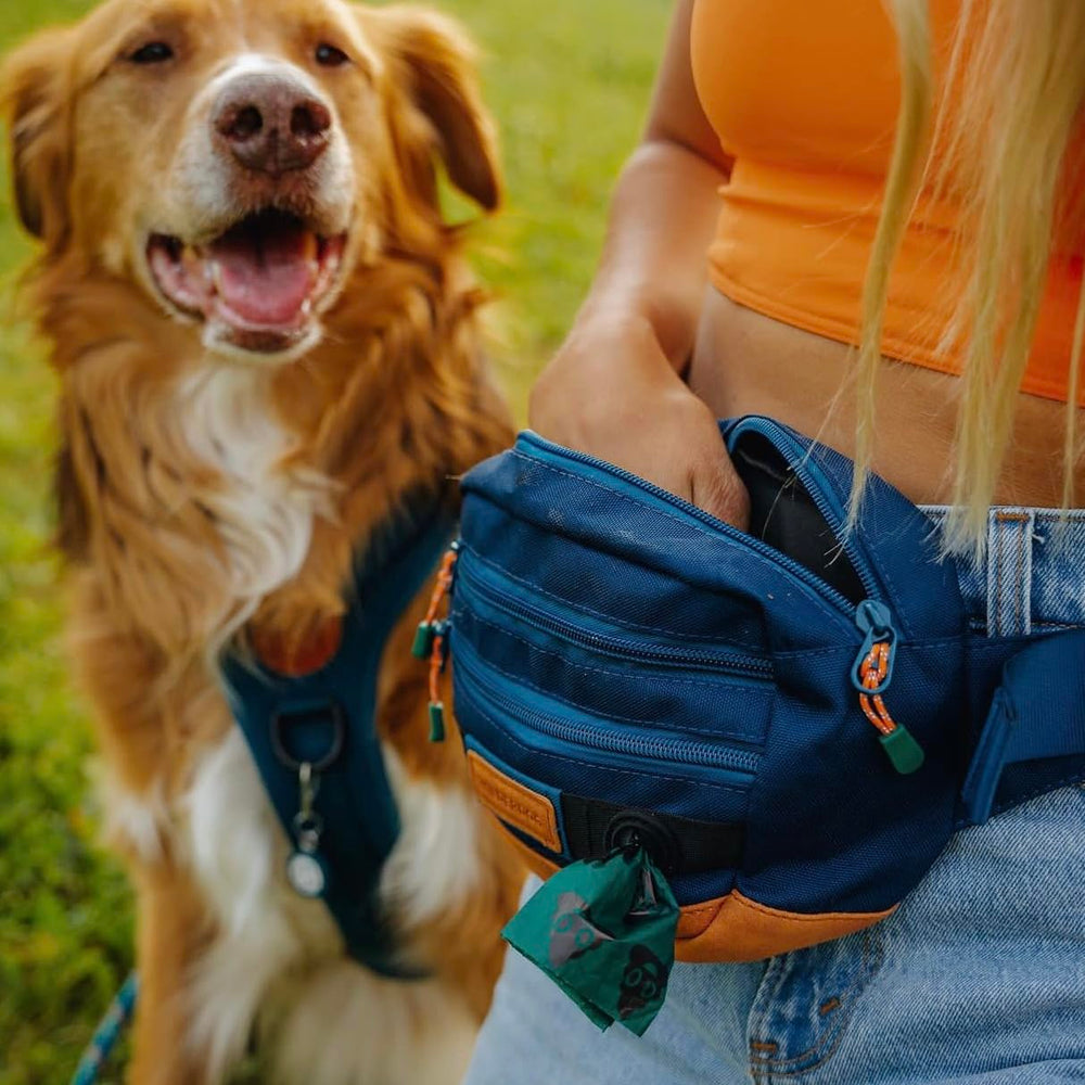 Wilderdog Utility Fanny Pack Pacific Blue front attachment points for carabiners and bowls.