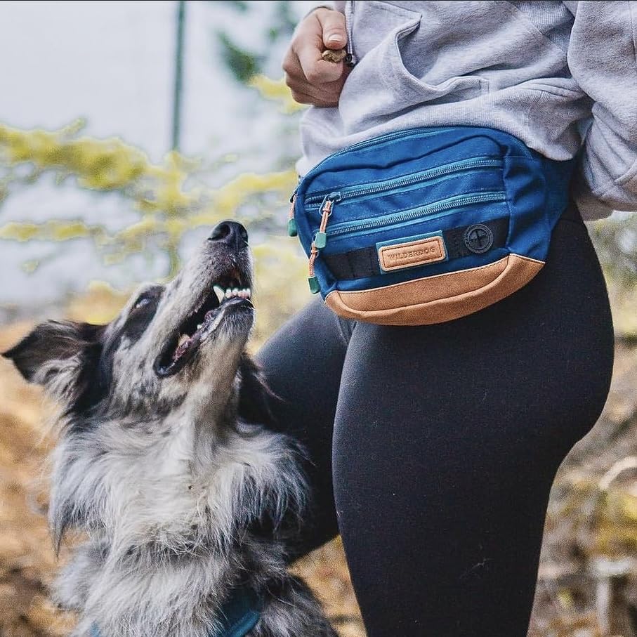 Wilderdog Utility Fanny Pack Pacific Blue poop bag dispenser for quick cleanup.