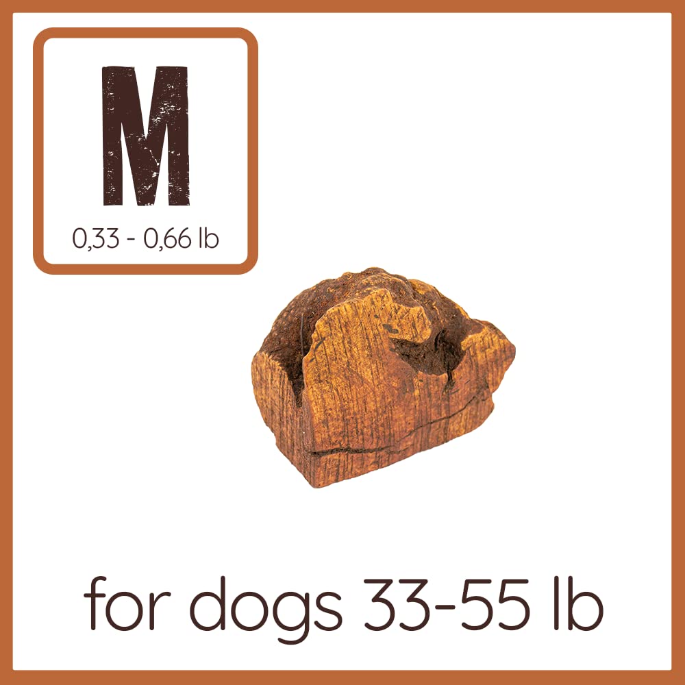 Wildfang Briar Wood Chewing Root Medium on the floor, odorless natural chew time.