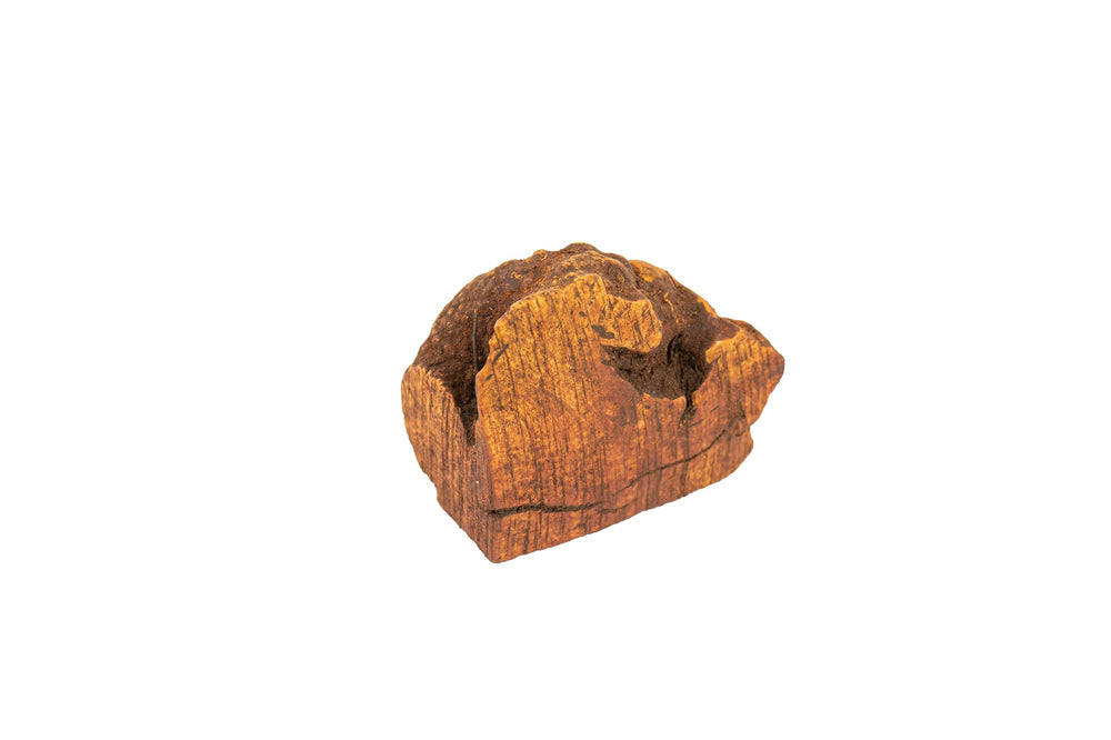 Wildfang Briar Wood Chewing Root Medium in size M for dogs 33-55 lbs.