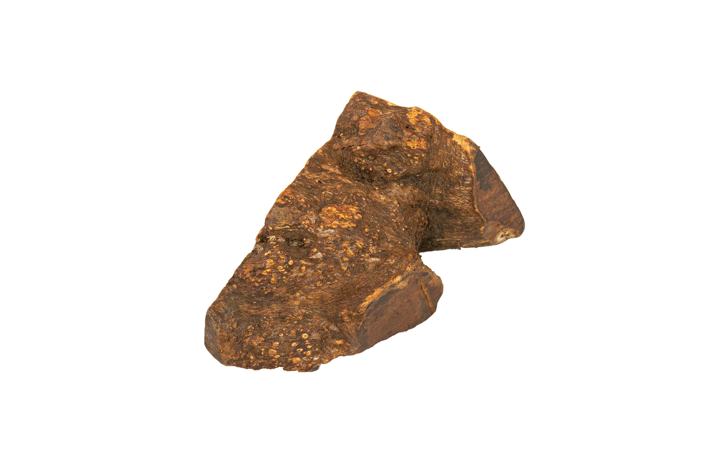 Wildfang Briar Wood Large chew for strong chewers like Labs offers durable engagement