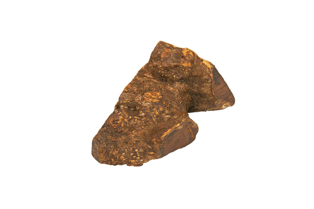 Wildfang Briar Wood Large chew for strong chewers like Labs offers durable engagement