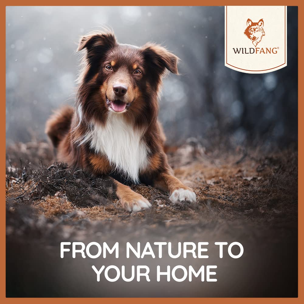 Wildfang Briar Wood Untreated Root close-up emphasizes eco friendly, chemical-free materials