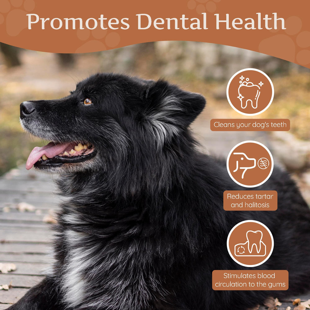 Wildfang Coffee Wood Chew with safety-rounded edges for supervised chewing