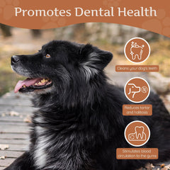 Wildfang Coffee Wood Chew with safety-rounded edges for supervised chewing
