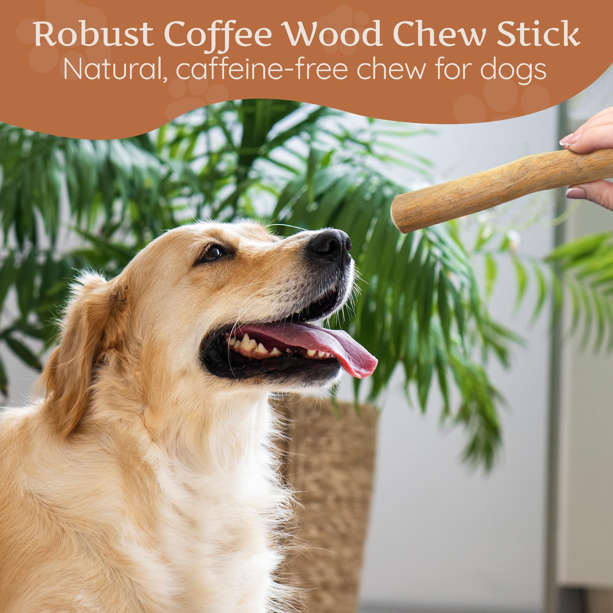 Wildfang Coffee Wood Dog Chew promotes mental stimulation and anti-boredom use