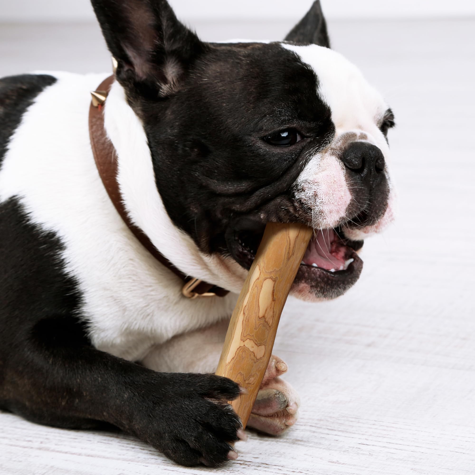Wildfang Coffee Wood Dog Chew small-behavior reset shows reduction in destructive chewing.