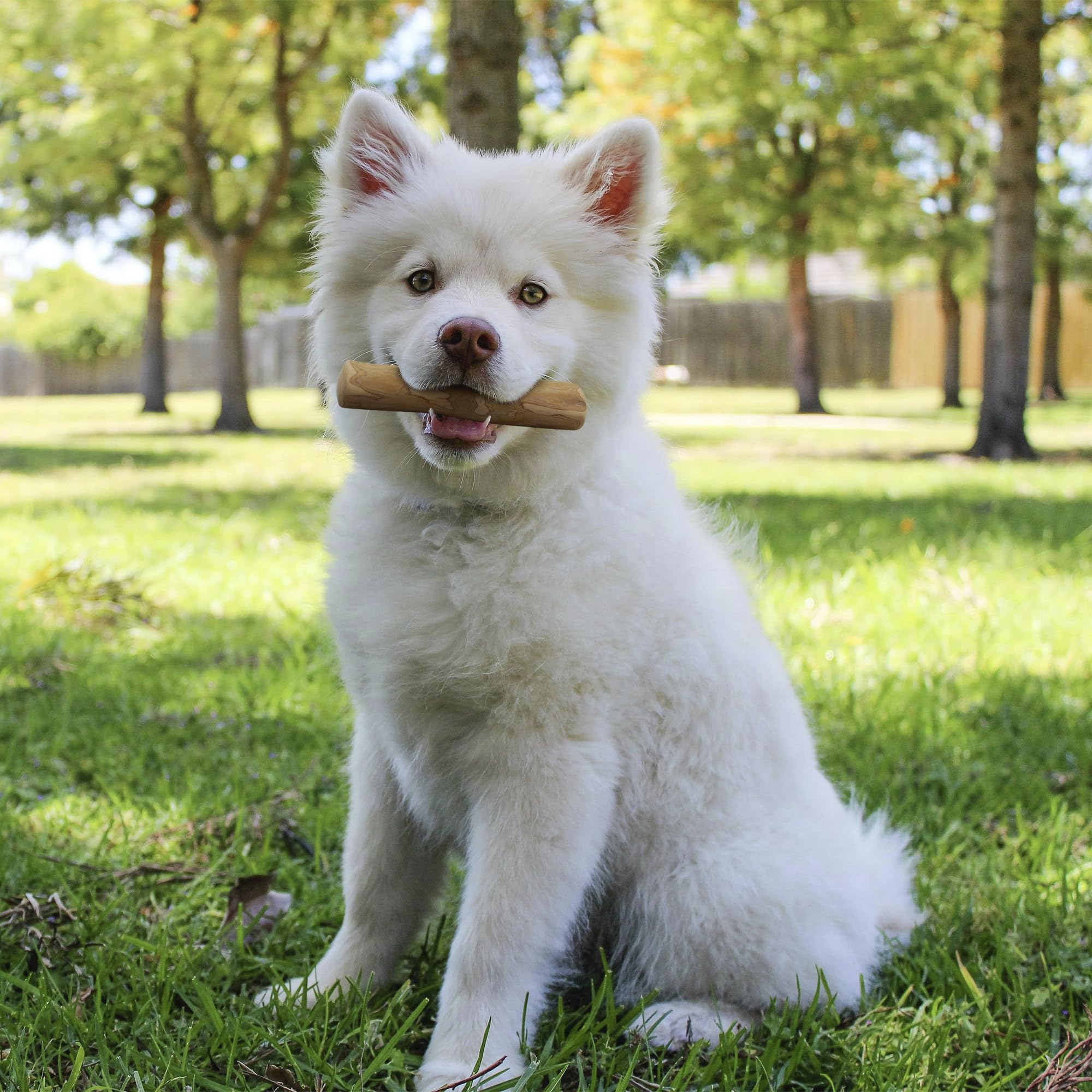 Wildfang Coffee Wood Dog Chew small-size-guide illustrates breed compatibility and usage.