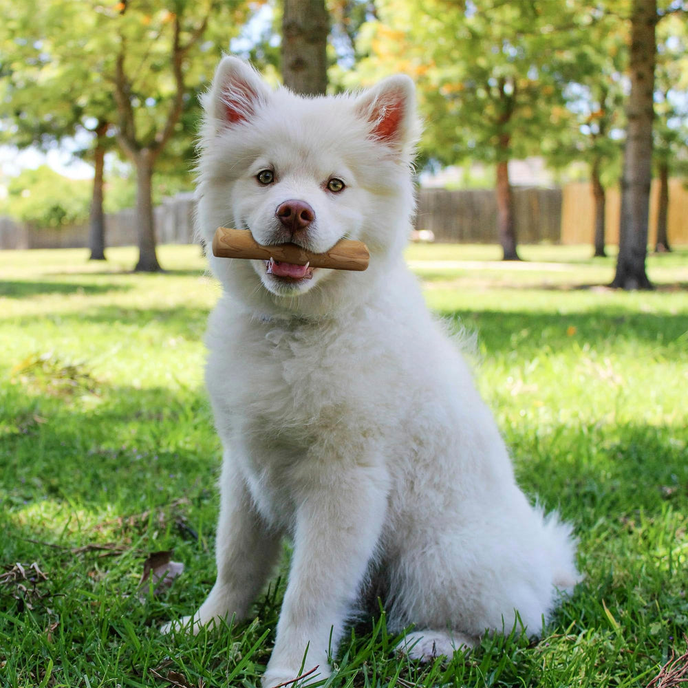 Wildfang Coffee Wood Dog Chew small-size-guide illustrates breed compatibility and usage.