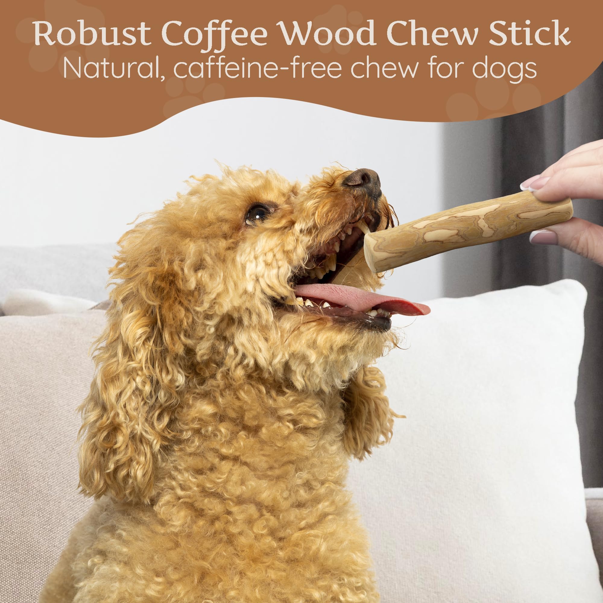 Wildfang Coffee Wood Dog Chew small-teething image highlights relief for teething puppies.