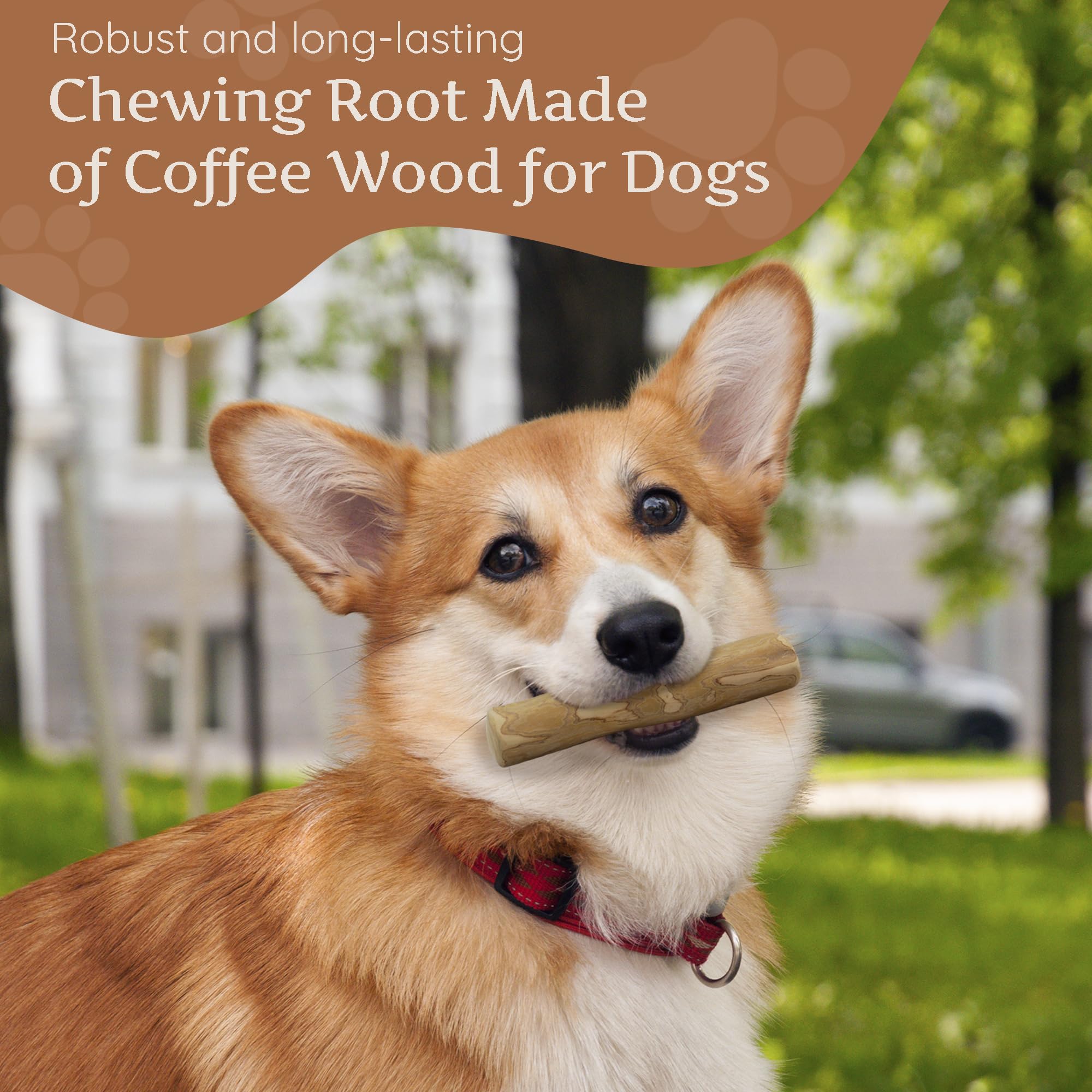 Wildfang Coffee Wood Dog Chew small texture highlights splinter resistance for safe chewing.
